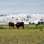 Pensión Ferreira Boutique 3*