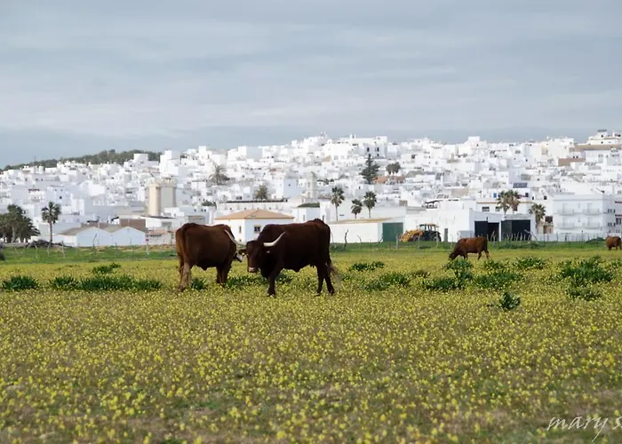 Gasthof Ferreira Boutique 3*