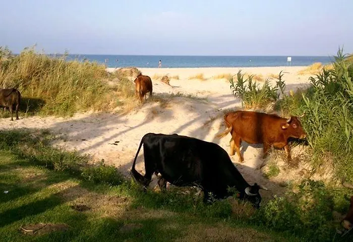 Gasthof Ferreira Boutique 3*