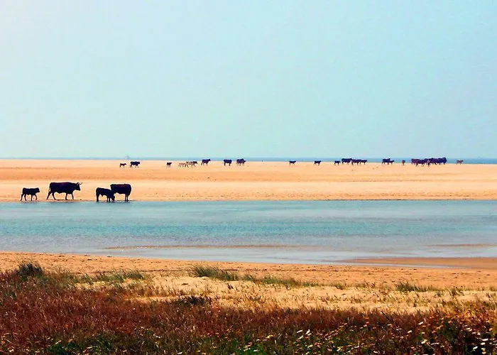 Ferreira Boutique 3* Conil De La Frontera