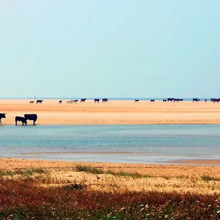 Ferreira Boutique 4* Conil De La Frontera