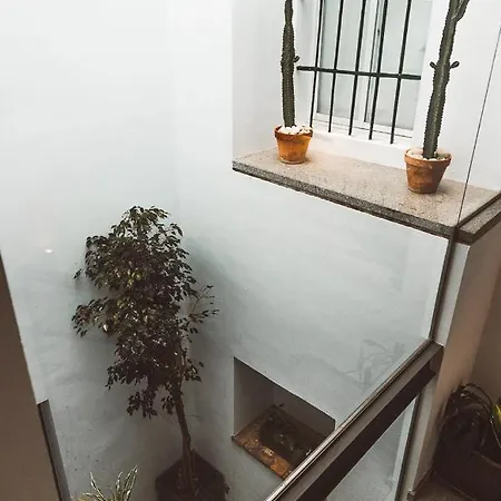 Ferreira Boutique Πανσιόν 4*