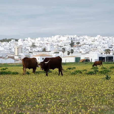 Πανσιόν Ferreira Boutique 4*
