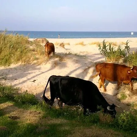 Guest house Ferreira Boutique 4*